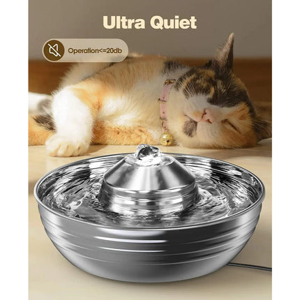 Fontaine à eau en acier inoxydable pour chat et chien de 2 L avec pompe silencieuse pour plusieurs animaux de compagnie