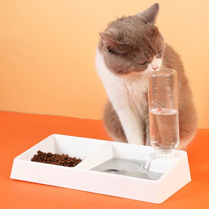 Gamelle double pour animaux de compagnie avec distributeur d'eau automatique pour chiens et chats