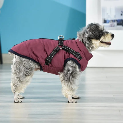 Vêtements pour chiens Manteau imperméable pour animaux de compagnie avec harnais