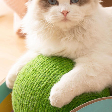 Roue à gratter en bois et sisal pour chat avec boule de capture