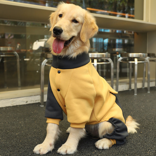 Veste sportive pour gros chien