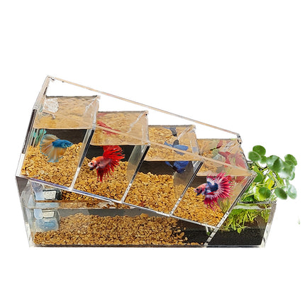 Élégant aquarium en acrylique pour poissons Betta