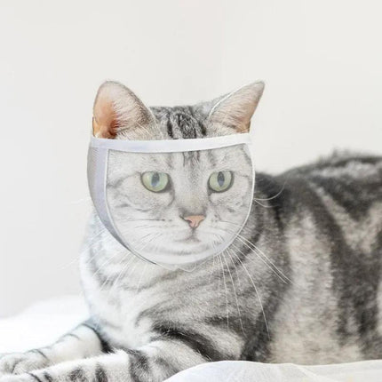 Muselière transparente pour chat