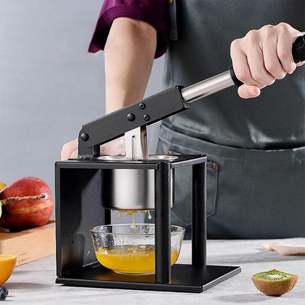 Professional Stainless Steel Citrus Juicer