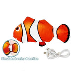 Clownfish