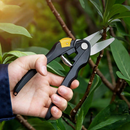 Sécateur de jardin de 8 pouces pour bonsaï, arbres fruitiers et fleurs