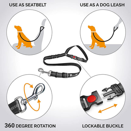 Ceinture de sécurité réglable pour chien