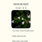 SALVIA SE SAL / 100 ml