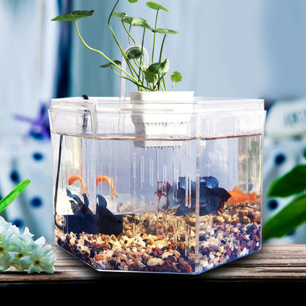 Aquarium de bureau pour poissons Betta 