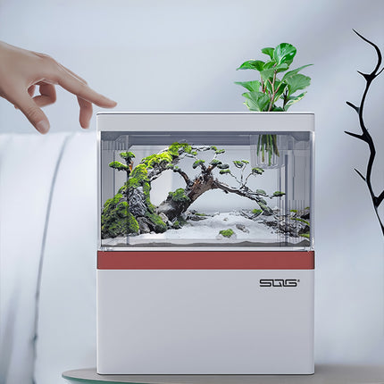 Mini aquarium à circulation automatique avec filtre de chargement USB