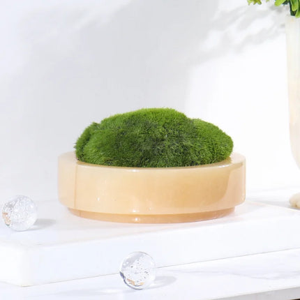 Pot de fleurs en pierre de marbre naturel et mousse - Jardinière de bureau ronde de luxe