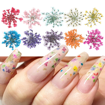 Ensemble de décorations pour ongles en fleurs séchées 3D