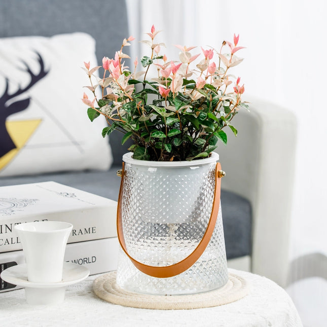 Jardinière hydroponique d'intérieur à arrosage automatique pour plantes succulentes avec poignée