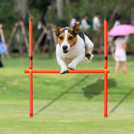 Outil d'agilité portable pour saut de chien