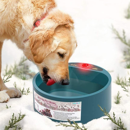 Bol d'eau chauffant pour animaux de compagnie