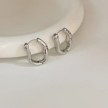 Luxurious Stainless Steel Geometric Hoop Earrings for Women - Wnkrs