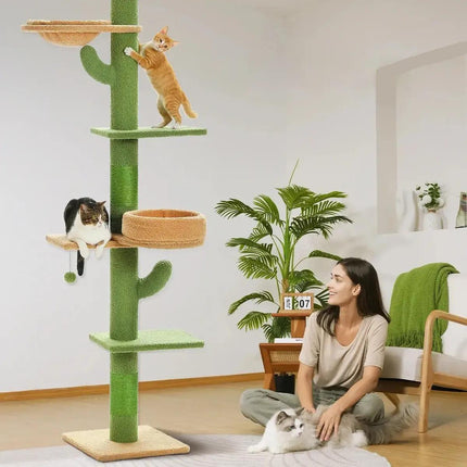 Arbre à chat en forme de cactus, du sol au plafond