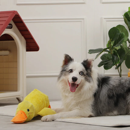 Jouet interactif pour chien en forme de canard avec couineur