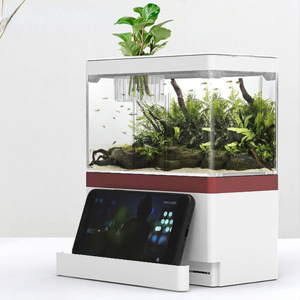 Mini aquarium à circulation automatique avec filtre de chargement USB