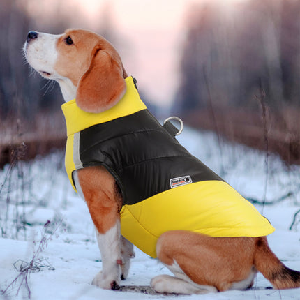 Veste réfléchissante imperméable pour chien