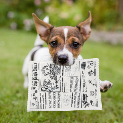 Juguete para masticar duradero y divertido para perros hecho de periódico