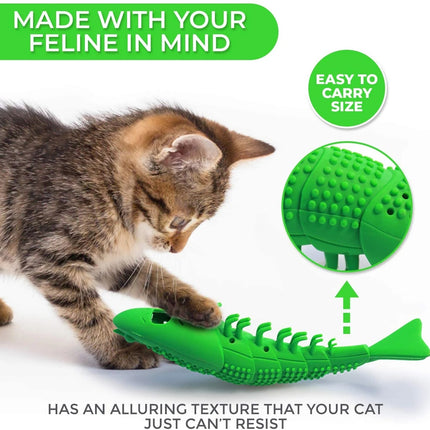 Jouet interactif pour brosse à dents pour chat