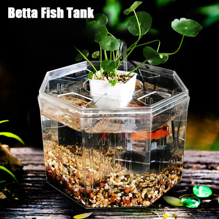 Aquarium de bureau pour poissons Betta 