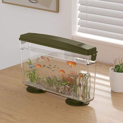 Aquarium de bureau écologique simple 