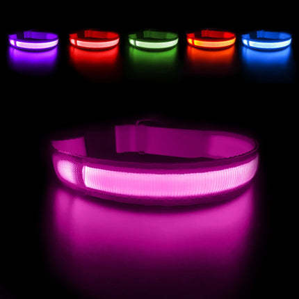 LED Safety Dog Collar - Wnkrs