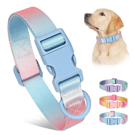 Collier pour chien en nylon à imprimé coloré