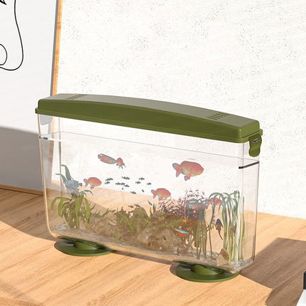 Aquarium de bureau écologique simple 