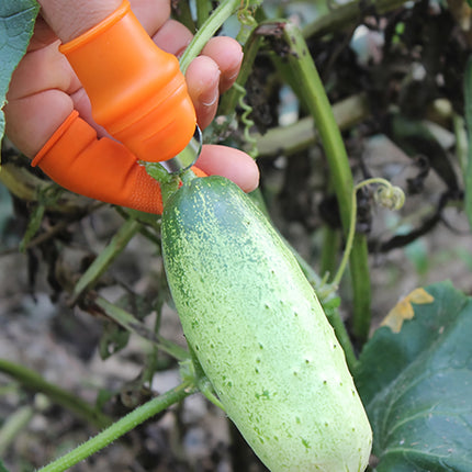 Protège-doigts en silicone pour la récolte et le jardinage