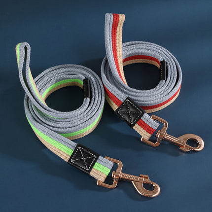 Laisse pour chien en nylon solide et durable