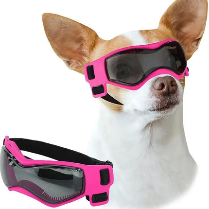 Lunettes de soleil pour petits chiens