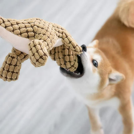 Jouet couineur en peluche résistant aux morsures pour chien