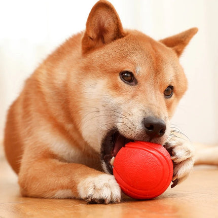 Balle d'entraînement pour chien en caoutchouc résistante aux morsures