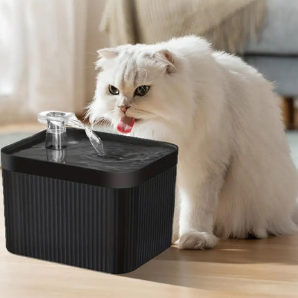 Fontaine à eau automatique pour chat de 2,5 L avec pompe silencieuse USB et filtre de circulation