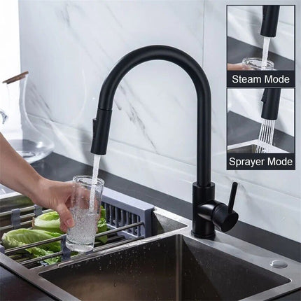 Kitchen Faucet with Pull-Out Sprayer - Wnkrs