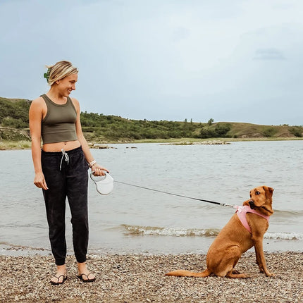 Correa retráctil resistente para perros con mango antideslizante reflectante - Correa antienredos de 5 m/26 pies para perros medianos y grandes