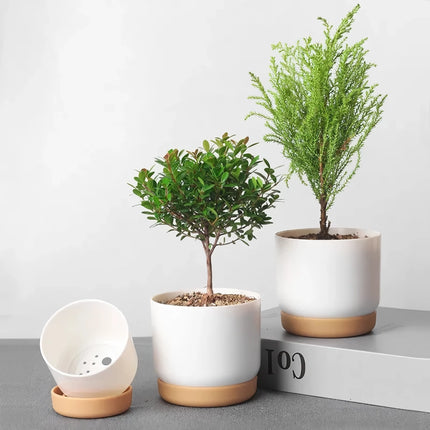 Maceta de doble capa con autorriego para plantas suculentas para decoración del hogar