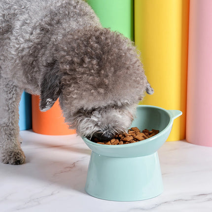 Comedero elevado para perros y gatos con inclinación de 45 grados