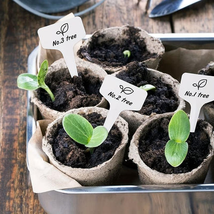 Ensemble de pots de pépinière en papier biodégradable et d'étiquettes pour plantes