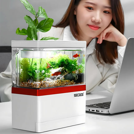 Mini aquarium à circulation automatique avec filtre de chargement USB