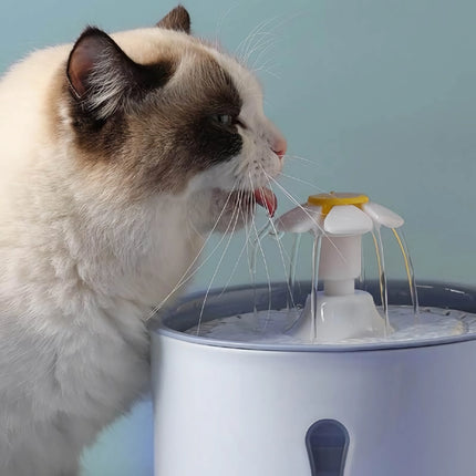 2.4L LED-Lit Automatic Cat Water Fountain with Stainless Steel & Activated Carbon Filter