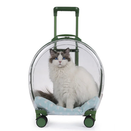 Sac à dos transparent et translucide pour animaux de compagnie pour chats et petits chiens