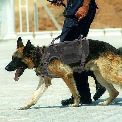 Harnais tactique réglable pour chien avec gilet Molle