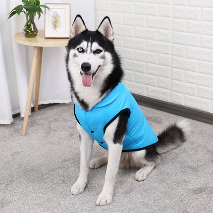 Veste d'hiver confortable pour chien