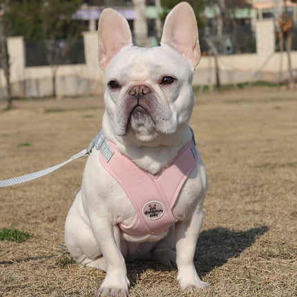 Harnais réglable anti-traction pour chien avec ensemble de laisse