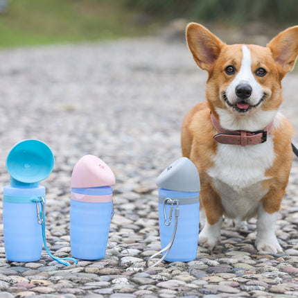 Bouteille d'eau portative pour animaux de compagnie