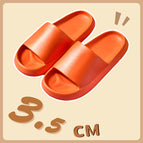 Orange / 44-45